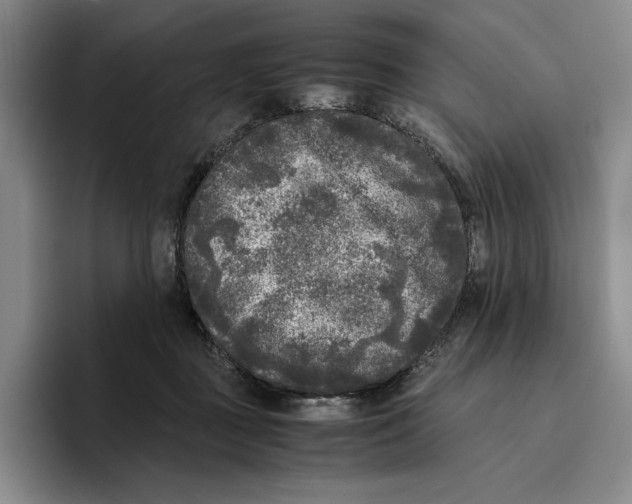 X0000096400363200802211208