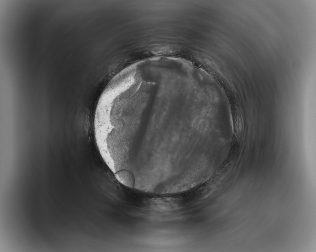 X0000096400367200802211208