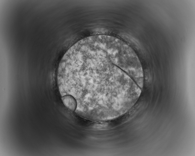 X0000096400369200802211209