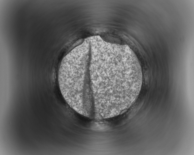 X0000096400372200802211209