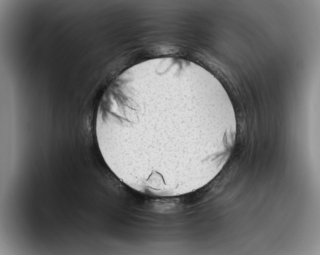 X0000096400373200802211209