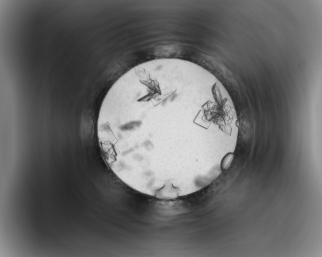 X0000096400375200802211209