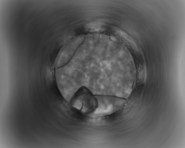 X0000096400376200802211209