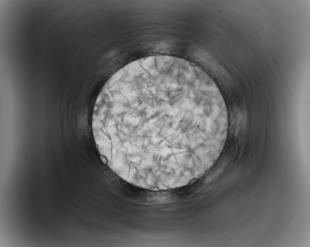 X0000096400377200802211209