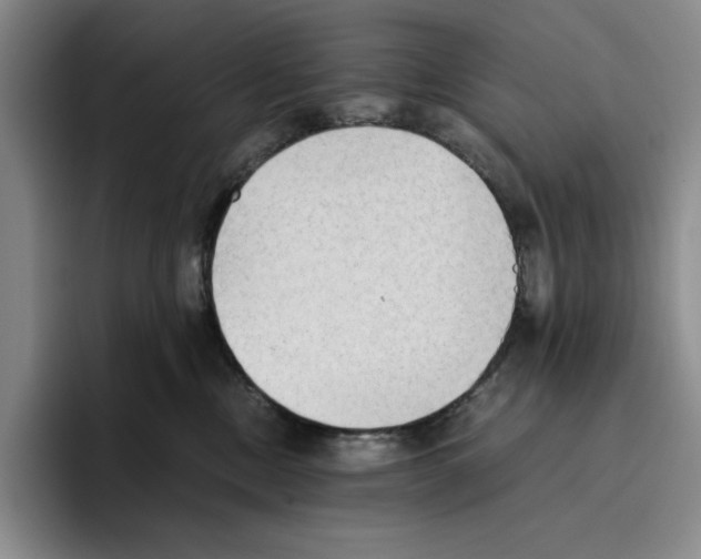 X0000096400378200802211209