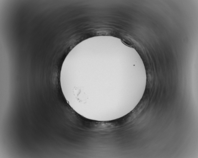 X0000096400379200802211209