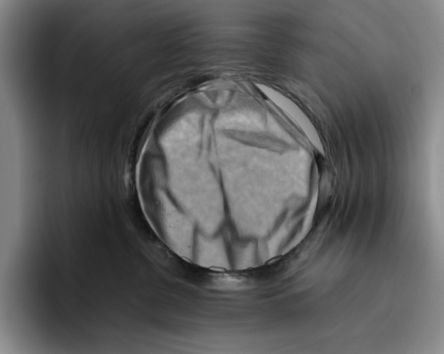 X0000096400380200802211209