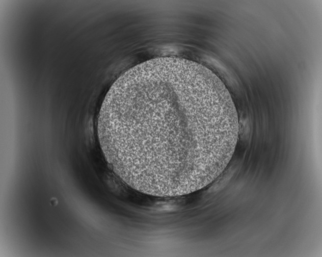 X0000096400381200802211209