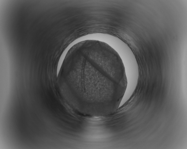 X0000096400382200802211209