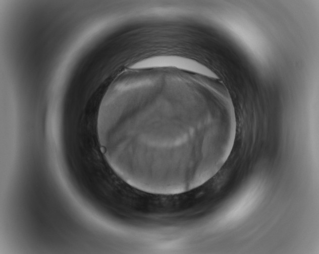 X0000096400383200802211209