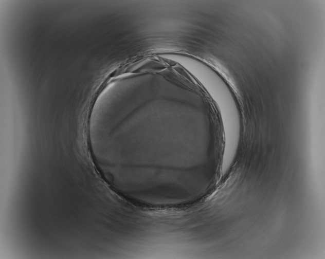 X0000096400385200802211208