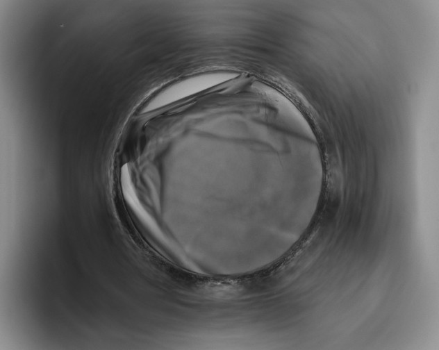 X0000096400386200802211208