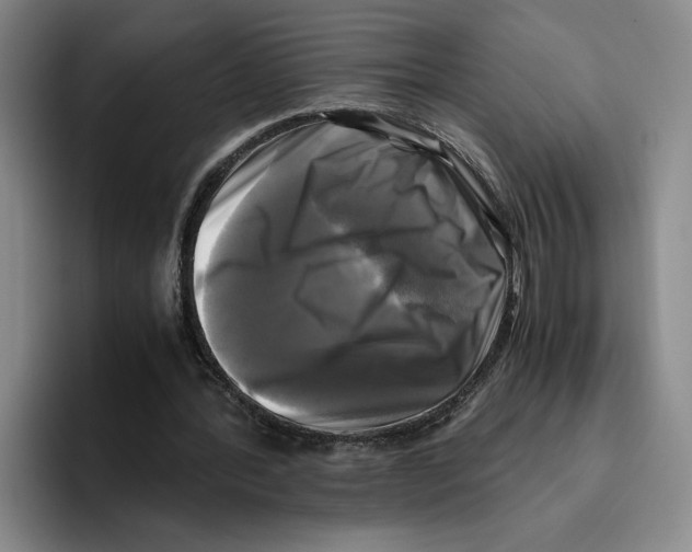 X0000096400388200802211208