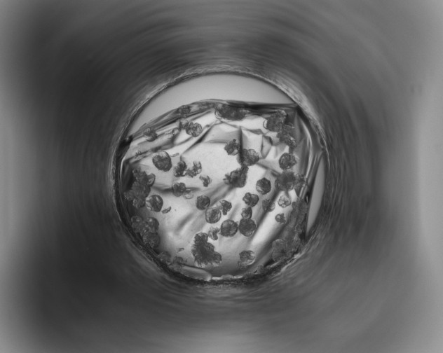 X0000096400389200802211208