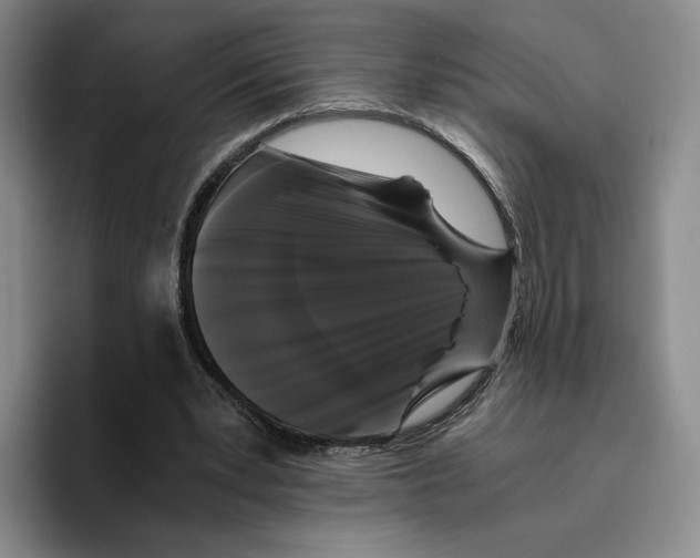 X0000096400391200802211208