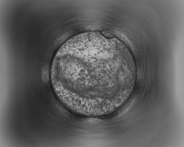 X0000096400393200802211208