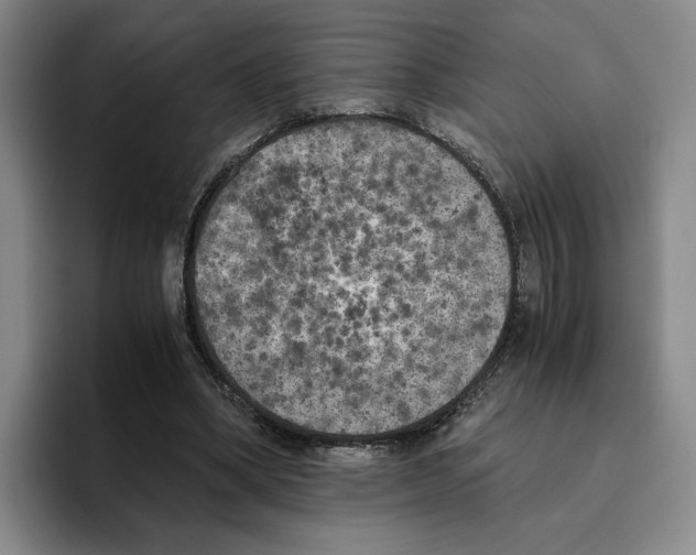 X0000096400394200802211208