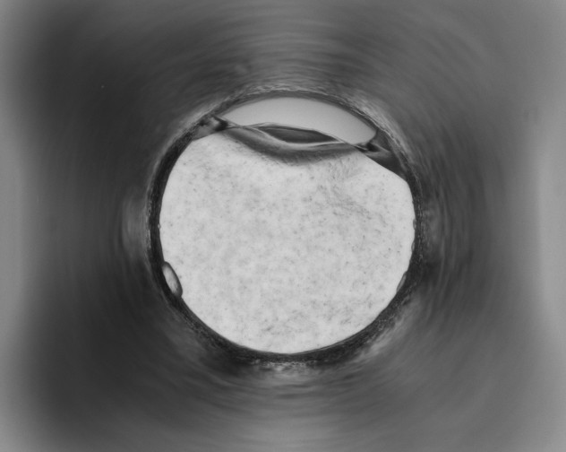 X0000096400395200802211208