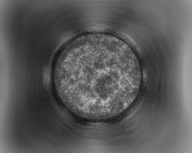 X0000096400396200802211208