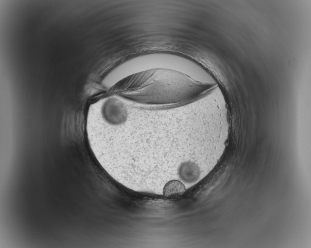 X0000096400397200802211208