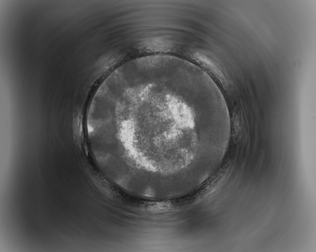 X0000096400398200802211208