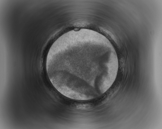 X0000096400400200802211208