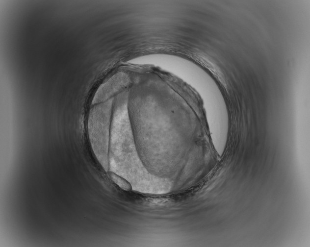 X0000096400401200802211208