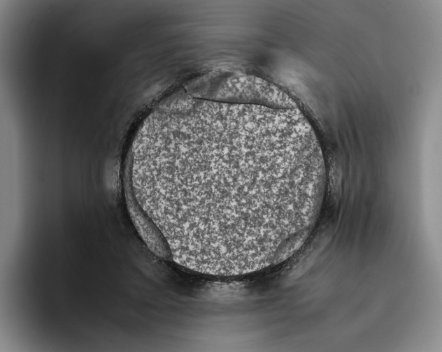 X0000096400403200802211208