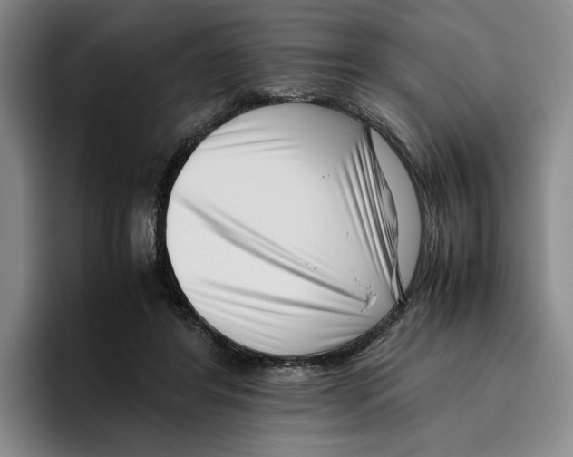 X0000096400404200802211208