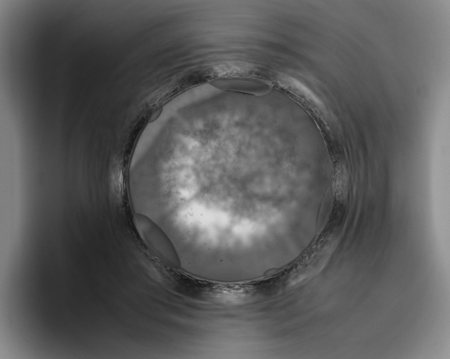 X0000096400405200802211208