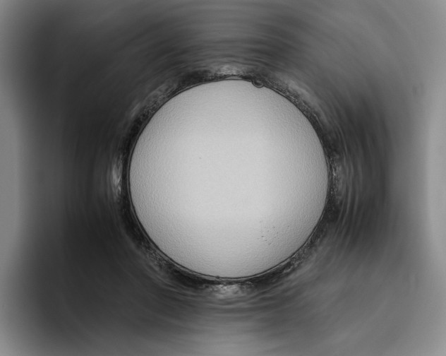 X0000096400406200802211208