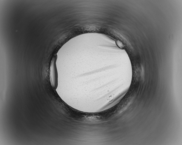 X0000096400407200802211208