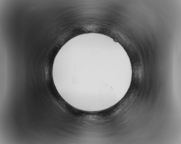 X0000096400408200802211208