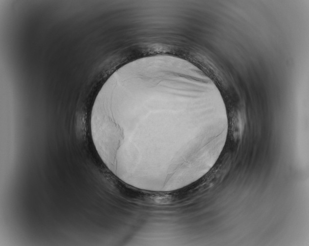 X0000096400410200802211208