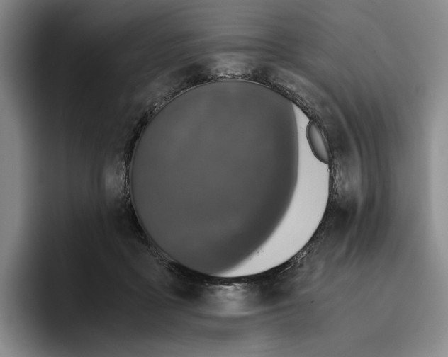 X0000096400411200802211208