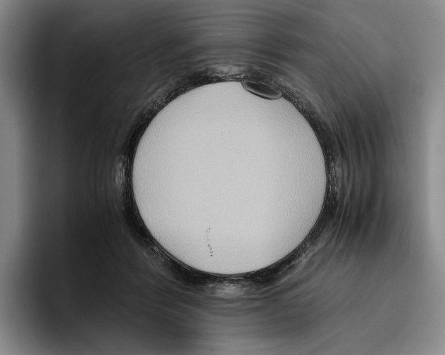 X0000096400412200802211208