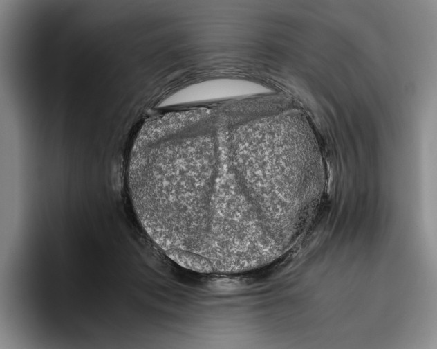 X0000096400413200802211208