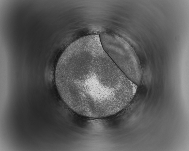 X0000096400417200802211208