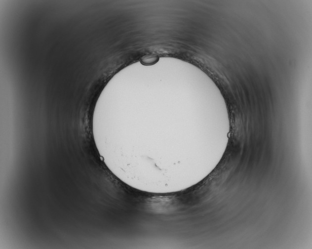 X0000096400418200802211208