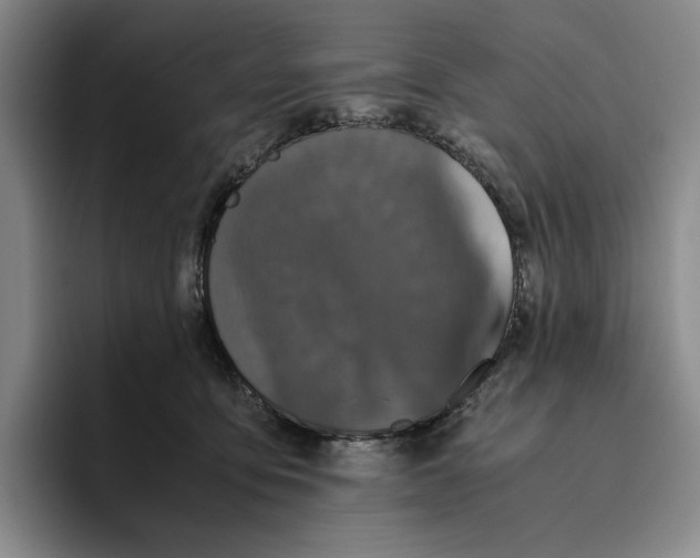 X0000096400419200802211208