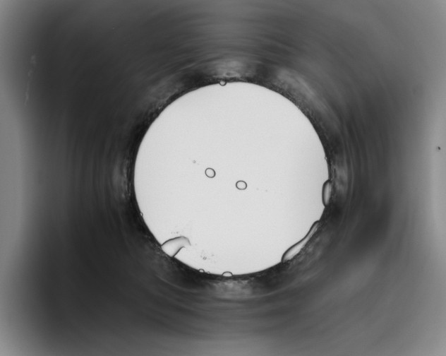 X0000096400422200802211208