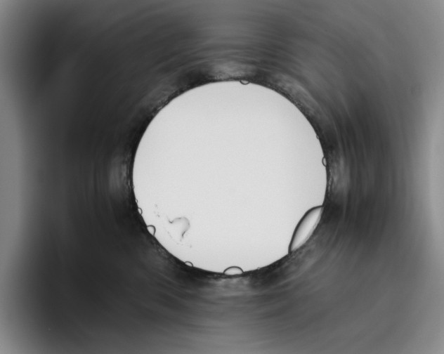 X0000096400426200802211207