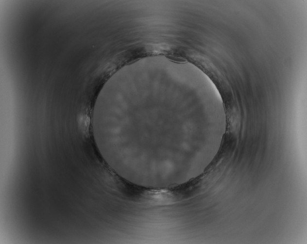 X0000096400427200802211207