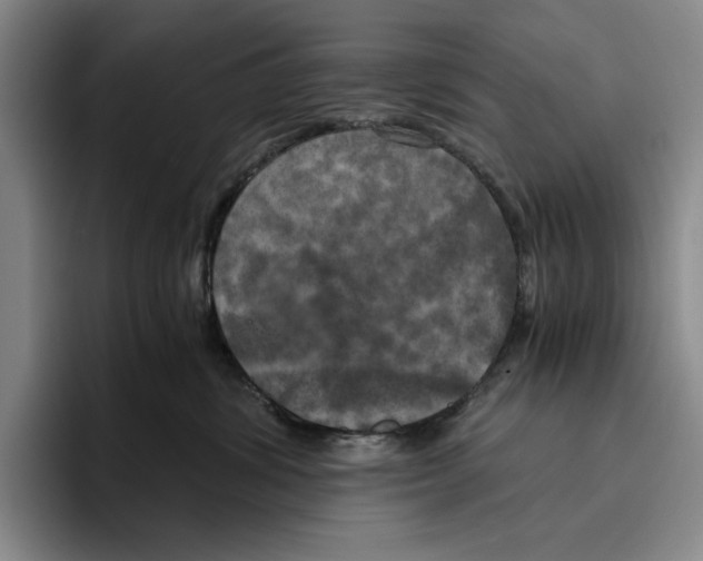 X0000096400428200802211207