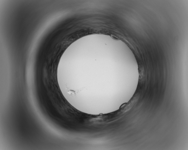 X0000096400430200802211207