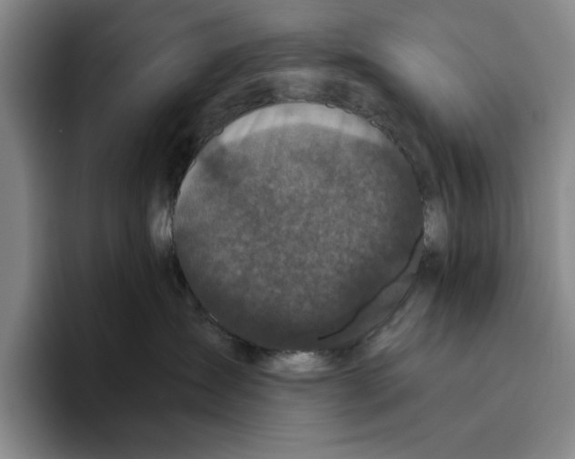 X0000096400431200802211207