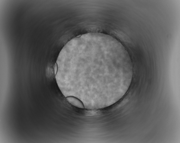 X0000096400432200802211207