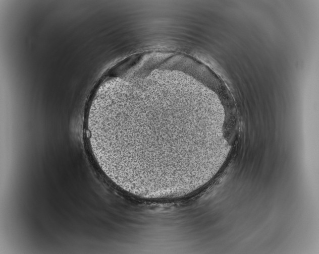 X0000096400434200802211207