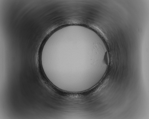 X0000096400439200802211207