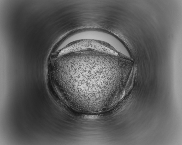 X0000096400440200802211207